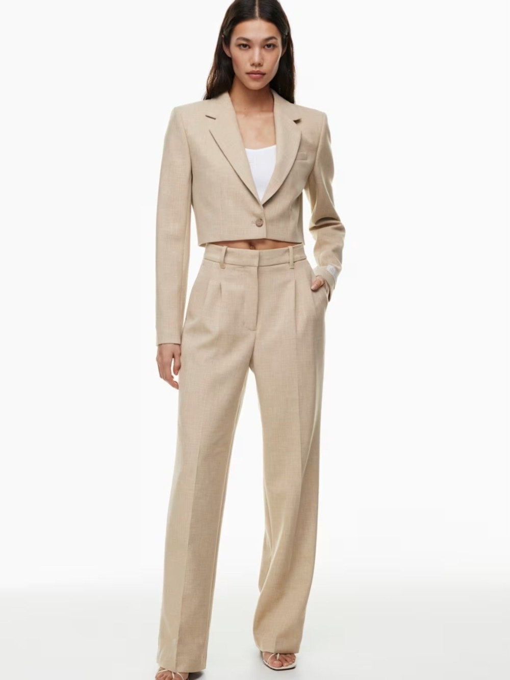 Aritzia High-Rise Wide-Leg Trousers